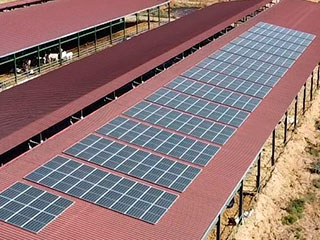 Instalación de autoconsumo de 118,3 kwp sobre cubierta y estructura coplanar para una granja de vacuno en Tordehumos (Valladolid), ejecutada para Zona Renovable. Producción anual: 117.450 kWh. Reducción de emisiones CO2: 81,27 tn. Árboles plantados: 3.194.