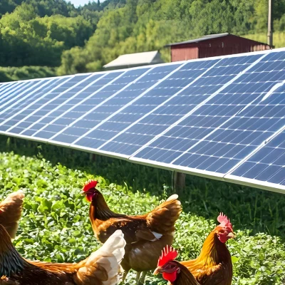 Reducir tu factura y ganar autonomía en granjas agropecuarias